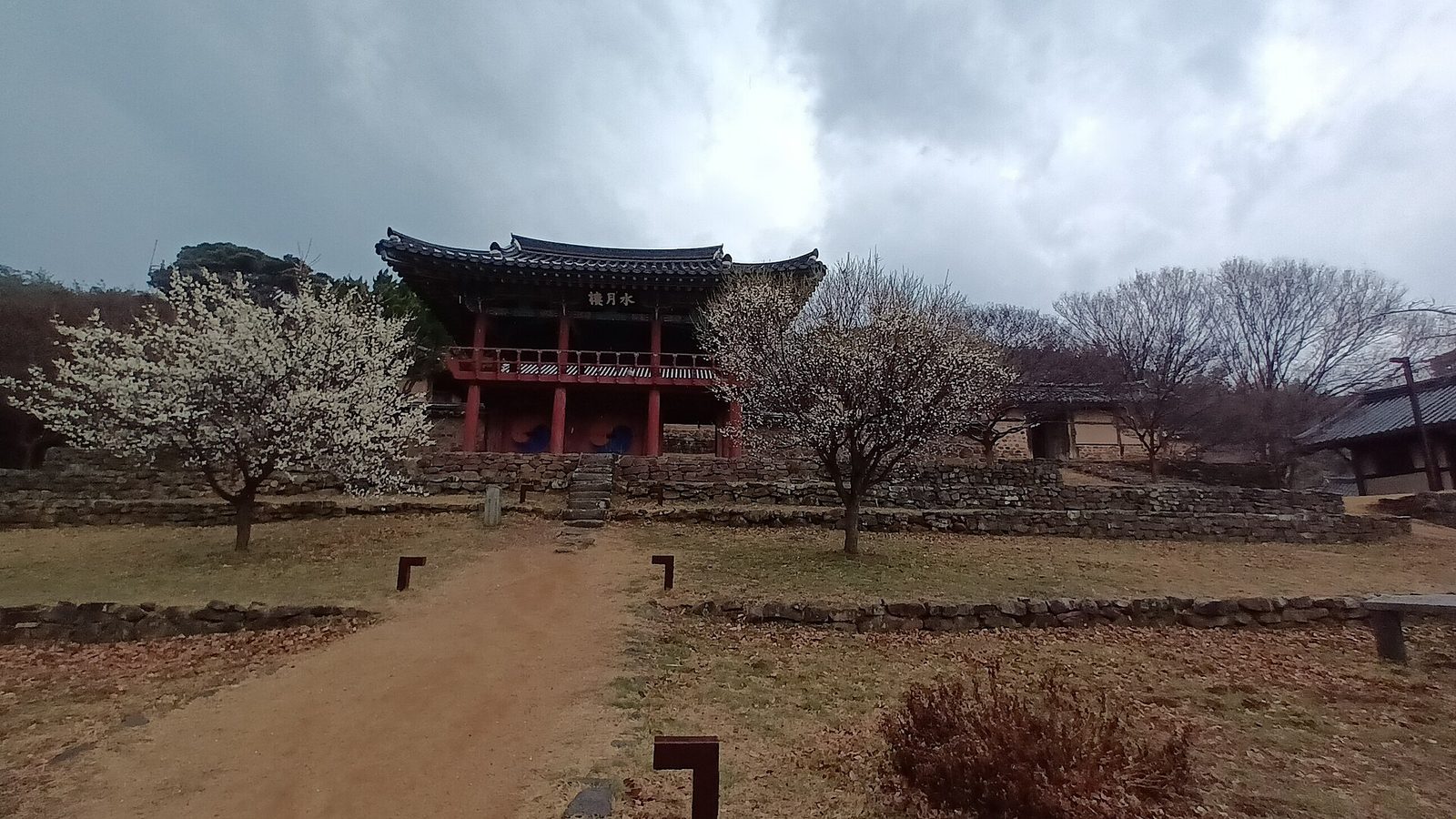 흙길 끝 돌계단 위에 붉은 기둥의 수월루가 서 있고, 양옆에 흰 꽃이 핀 나무가 있는 앞마당
