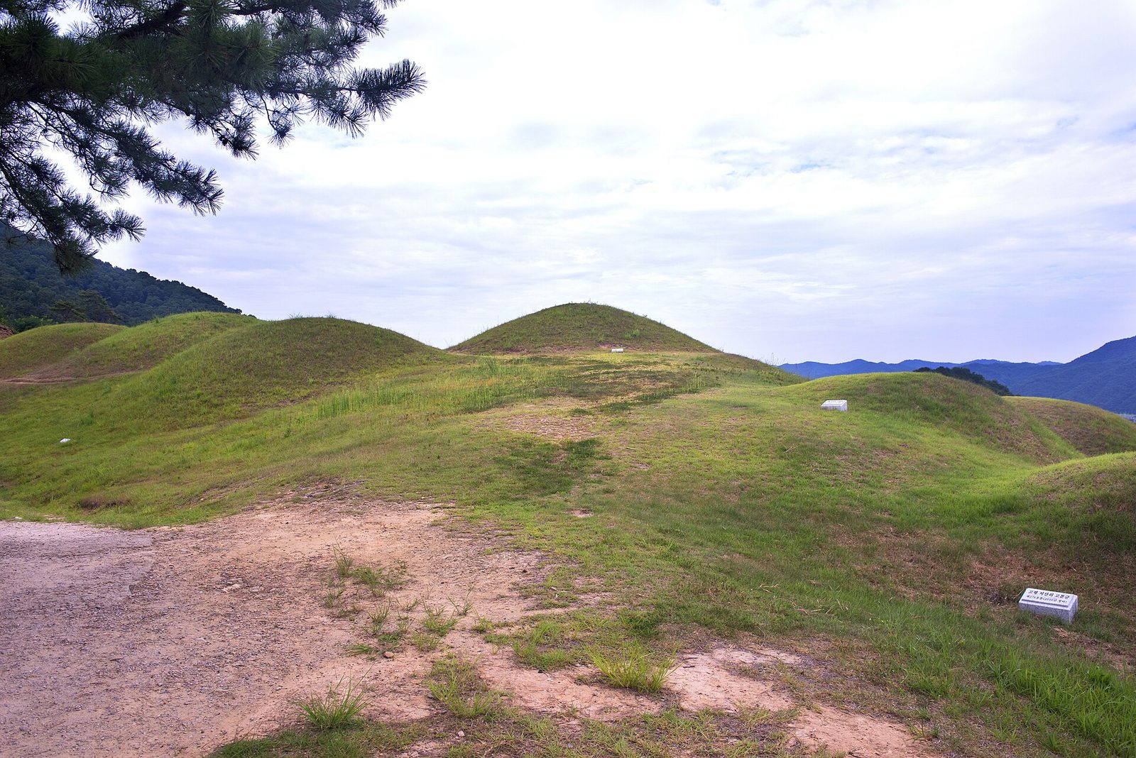 풀로 덮인 봉분 사이 흙길이 이어지고 멀리 산이 보이는 능선