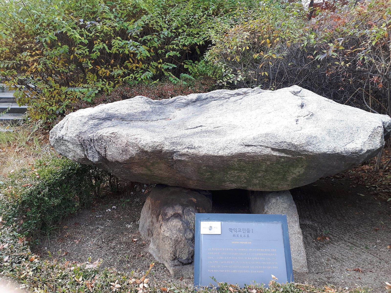 덤불 사이 학익고인돌, 큰 덮개돌을 돌이 받치고 있어요