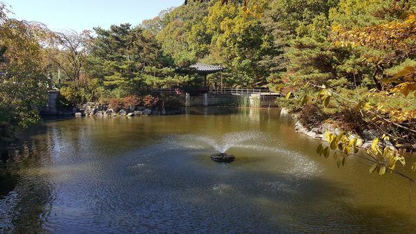 분수가 도는 중앙공원 연못, 나무 사이 정자