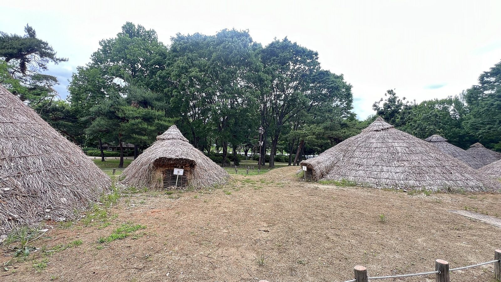 나무 아래 흙마당에 원뿔 지붕 움집이 모여 선 풍경
