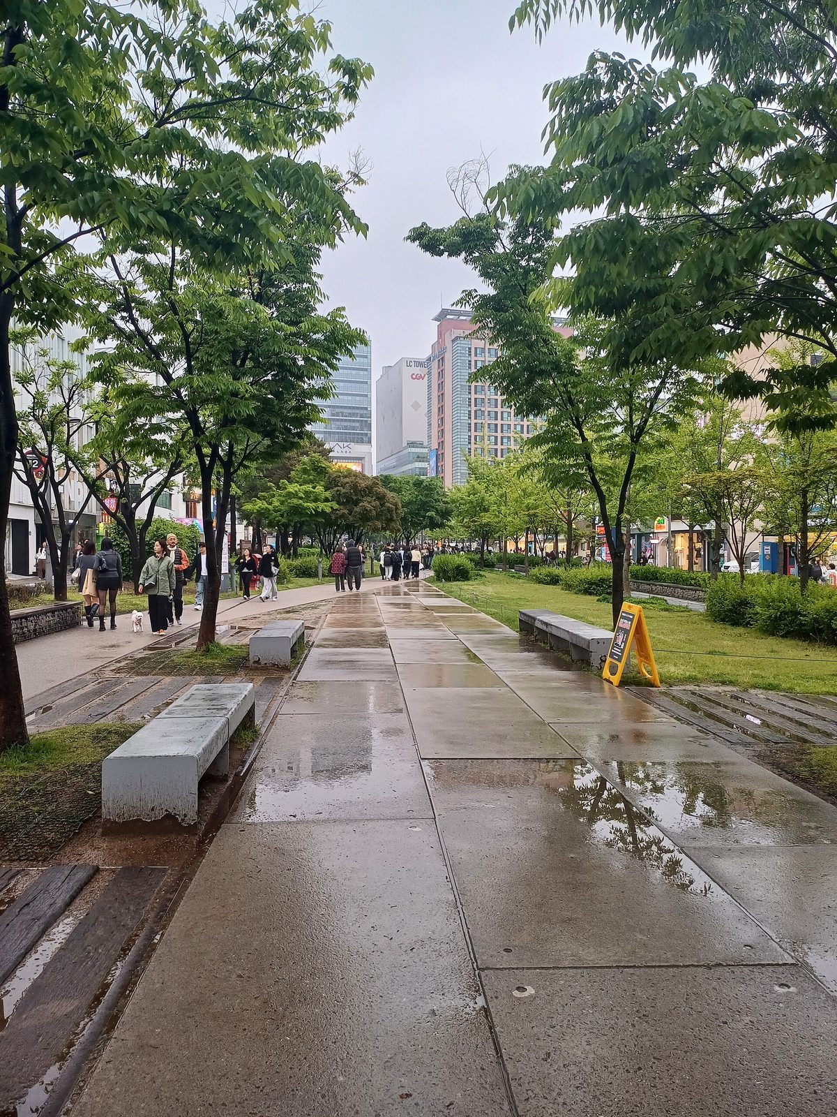비 온 뒤 젖은 바닥에 벤치와 나무가 늘어선 산책로